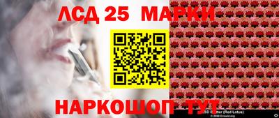 шишки Гатчина