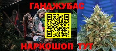 шишки Гатчина