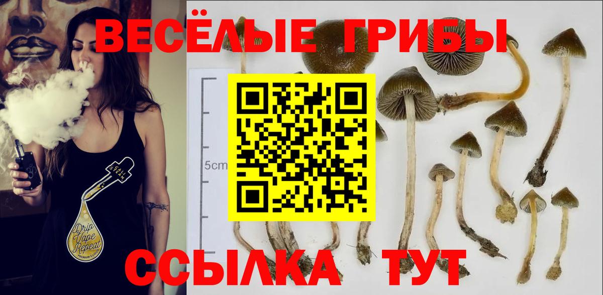 Галлюциногенные грибы прущие грибы Горно-Алтайск