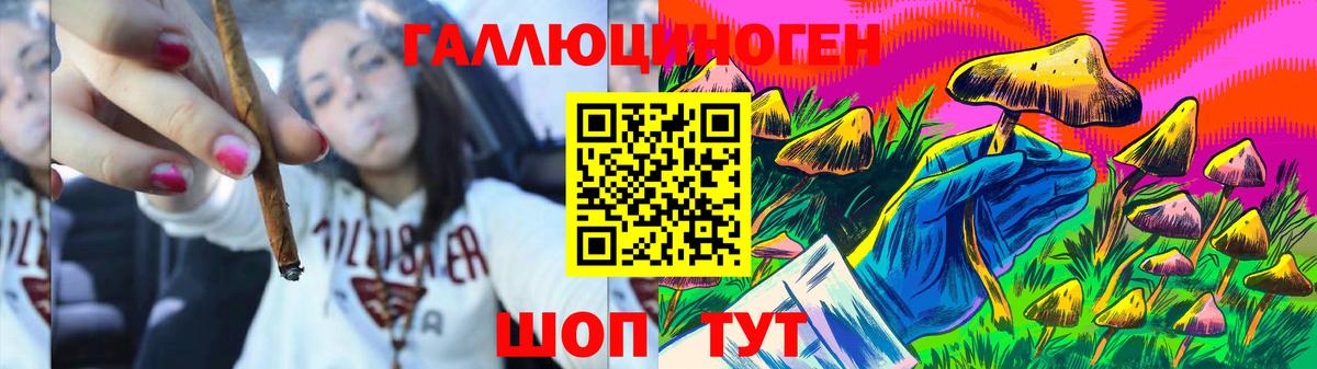Псилоцибиновые грибы Cubensis  Псилоцибиновые грибы мухоморы  Вход с VPN  Горно-Алтайск 